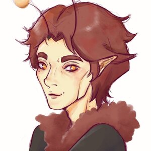 Fundraising Page: Beektor Talis